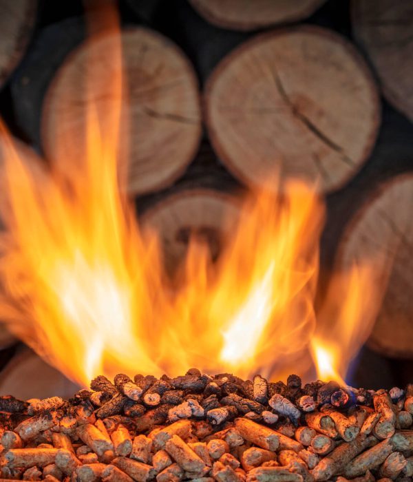 burning-wood-pellet (1)